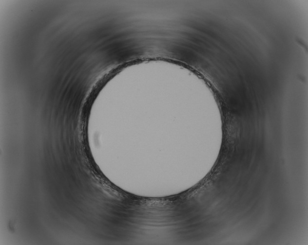 X0000093590832200710151016