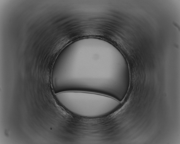 X0000093590833200710151016