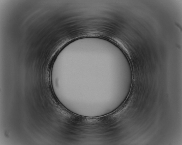 X0000093590835200710151016