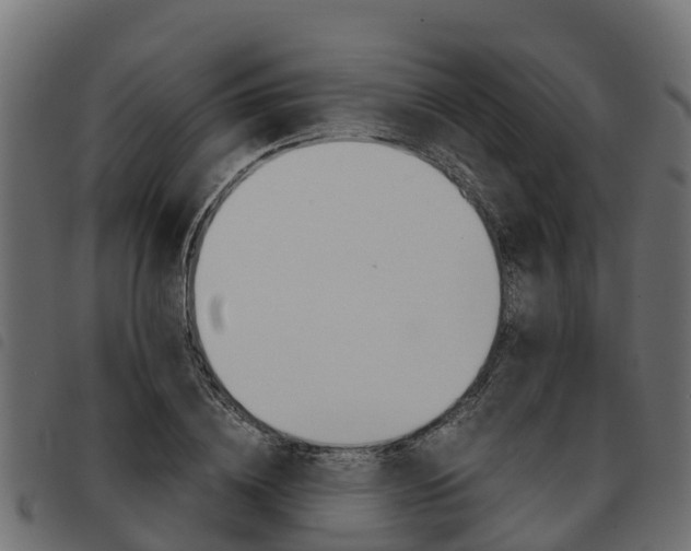 X0000093590836200710151016