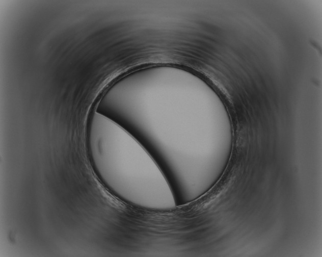X0000093590837200710151016