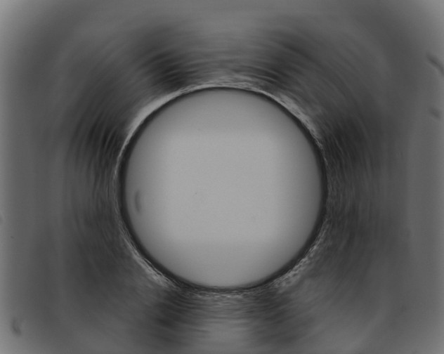 X0000093590838200710151016