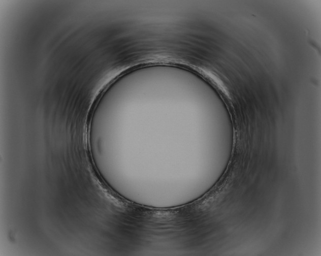 X0000093590839200710151016