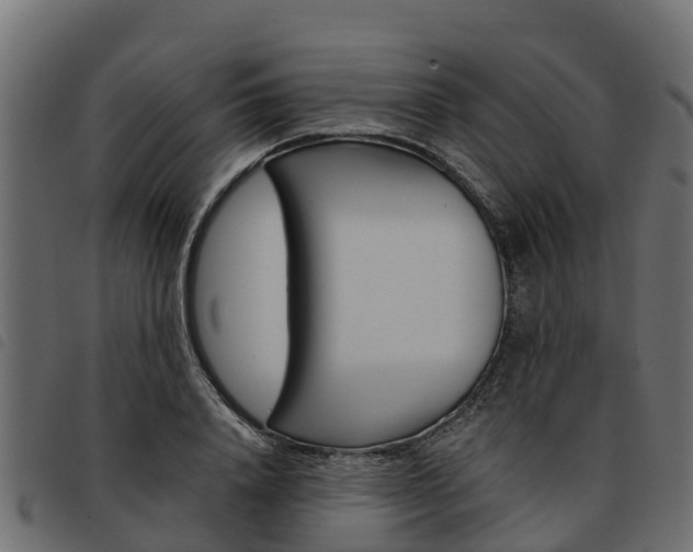 X0000093590840200710151016