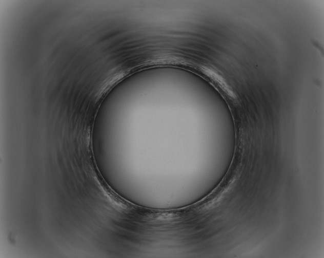 X0000093590841200710151016