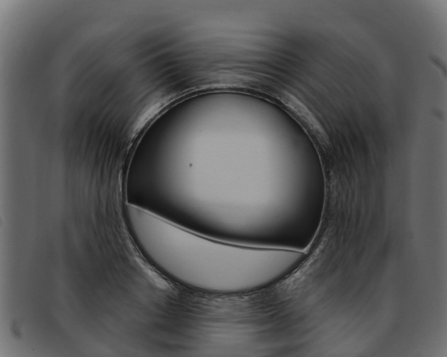 X0000093590842200710151016