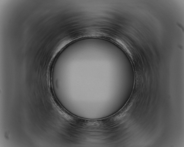 X0000093590843200710151016