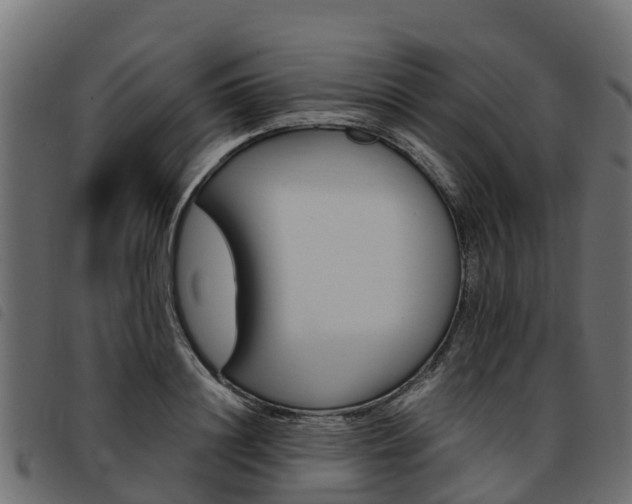 X0000093590844200710151016