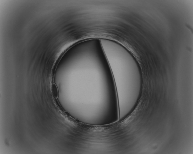 X0000093590846200710151016