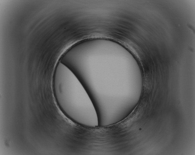 X0000093590847200710151016
