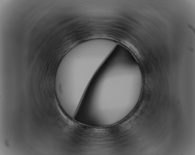 X0000093590849200710151016