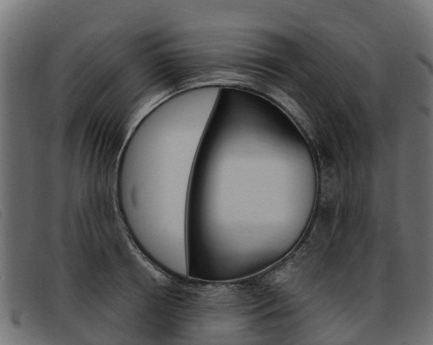 X0000093590850200710151016