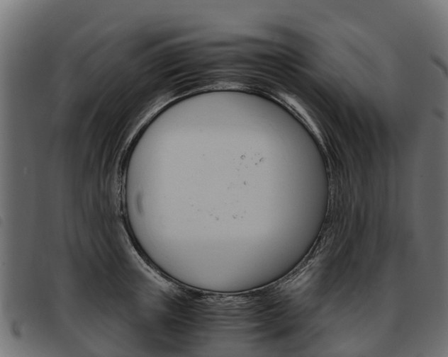 X0000093590851200710151016