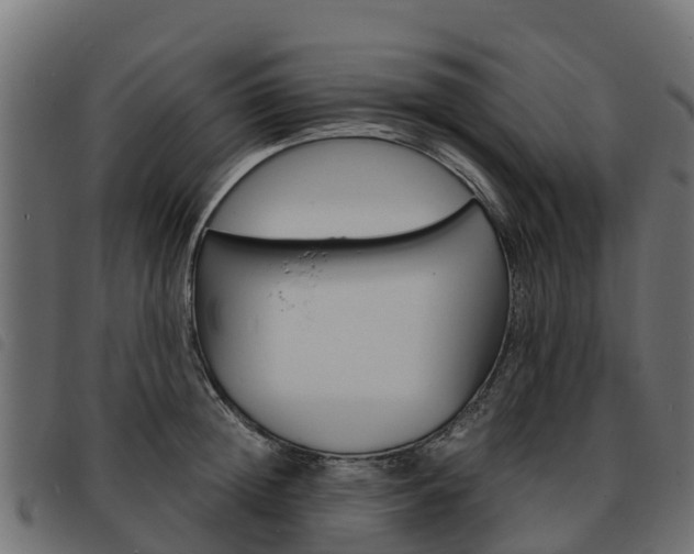 X0000093590852200710151016