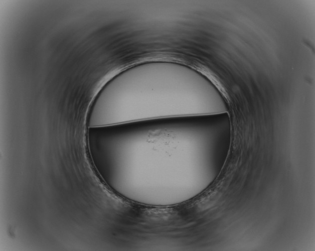 X0000093590853200710151016