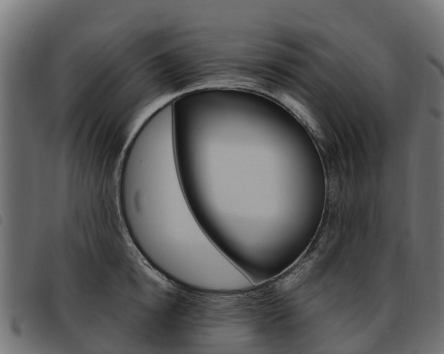 X0000093590854200710151016