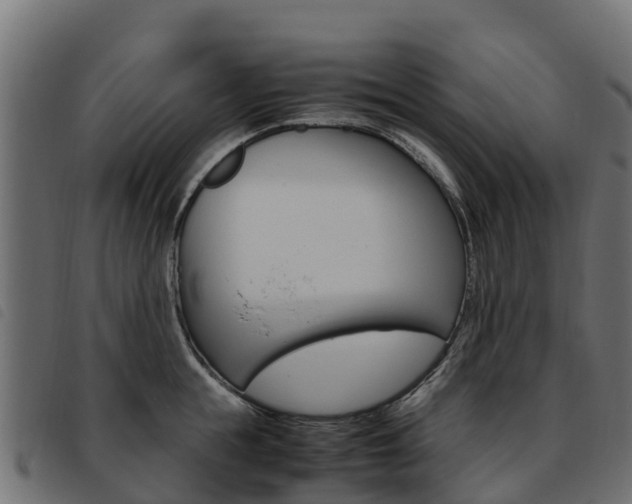 X0000093590855200710151016