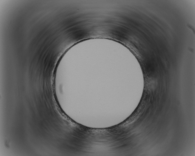 X0000093590856200710151016