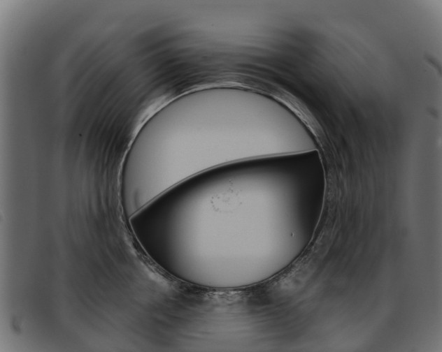 X0000093590858200710151016