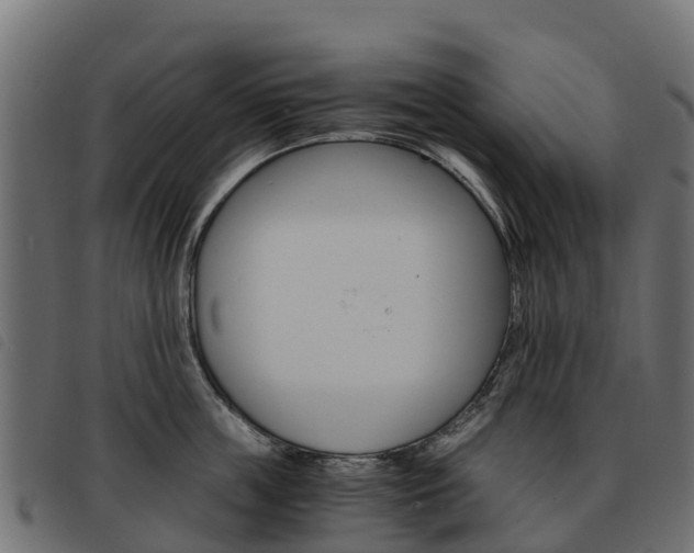X0000093590859200710151016