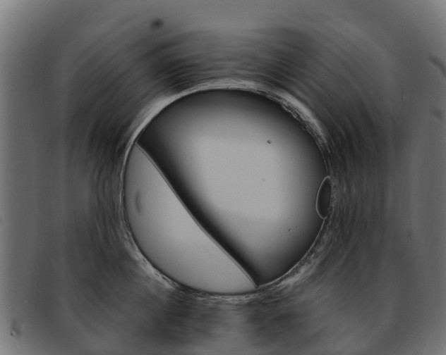 X0000093590860200710151016