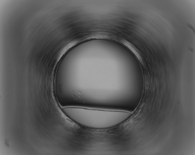 X0000093590861200710151016
