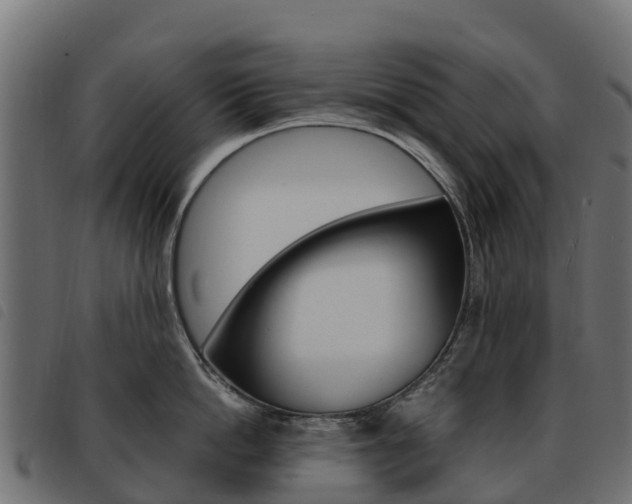 X0000093590862200710151016