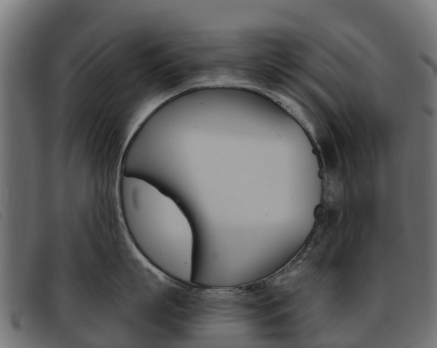 X0000093590863200710151016