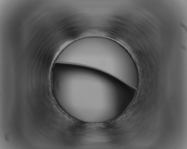 X0000093590864200710151016