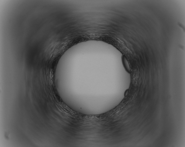 X0000093590866200710151015