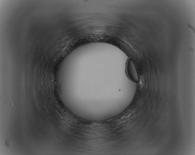 X0000093590867200710151015