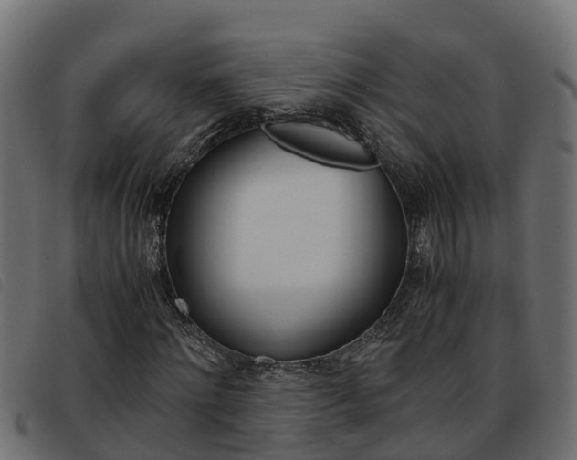 X0000093590868200710151015