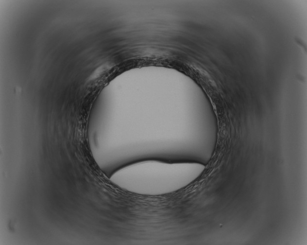 X0000093590869200710151015
