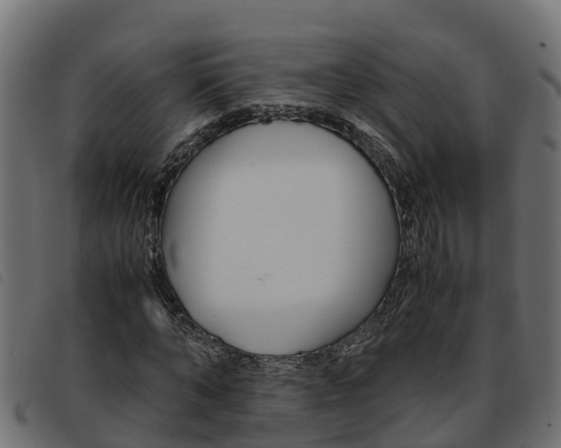 X0000093590870200710151015