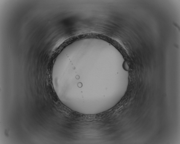 X0000093590871200710151015