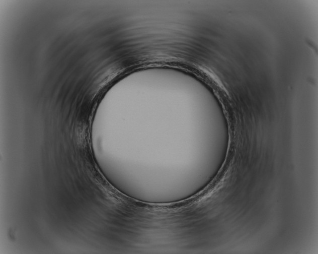 X0000093590873200710151015