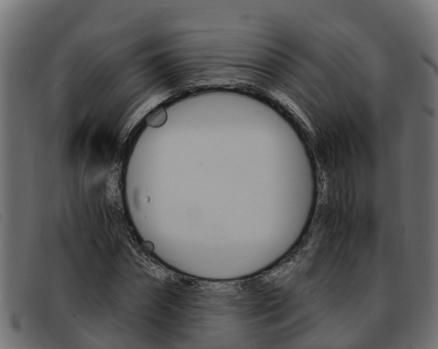 X0000093590874200710151015