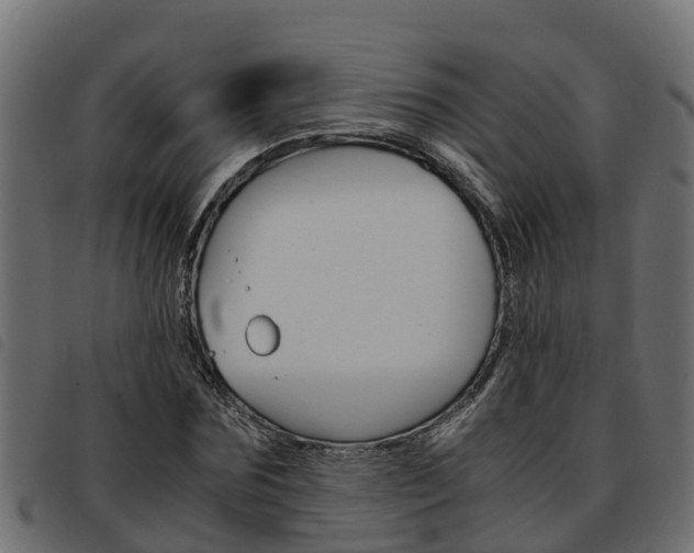 X0000093590875200710151015