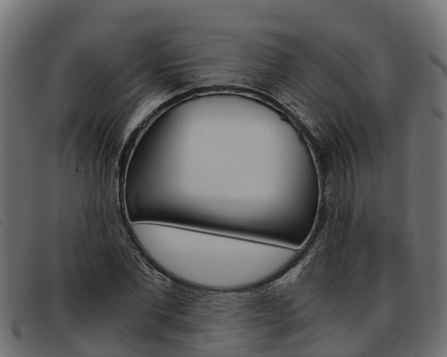 X0000093590877200710151015