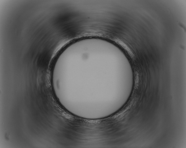 X0000093590878200710151015