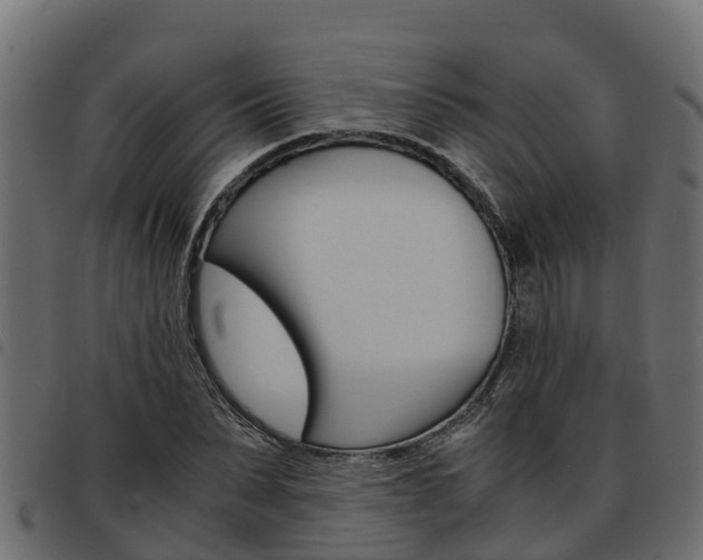 X0000093590879200710151015