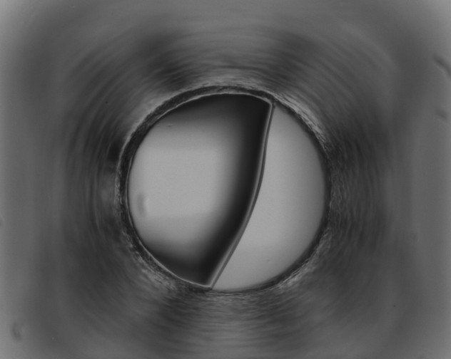 X0000093590880200710151015