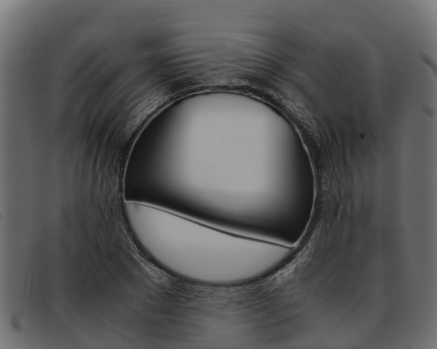 X0000093590881200710151015
