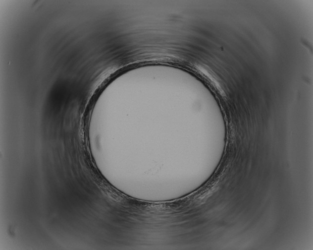 X0000093590883200710151015