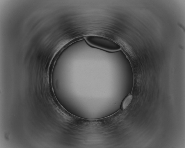X0000093590884200710151015