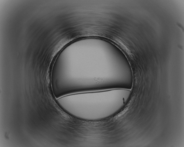 X0000093590885200710151015