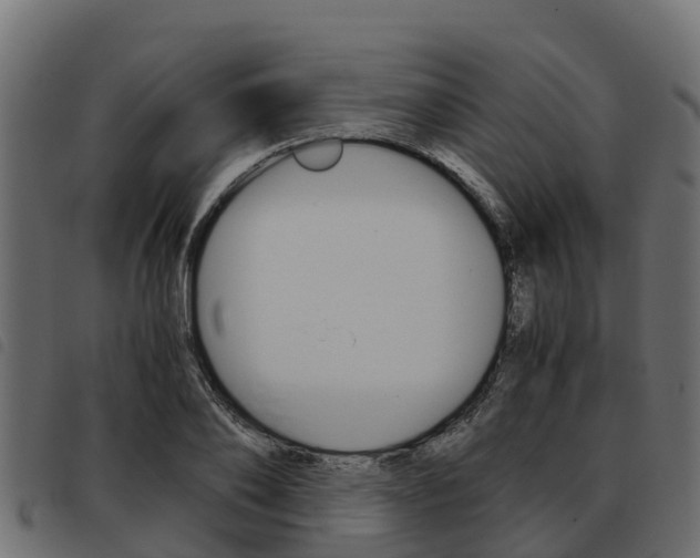 X0000093590886200710151015