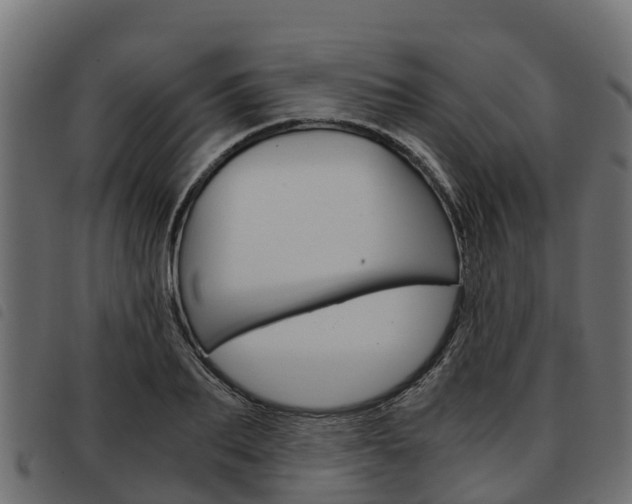 X0000093590887200710151015