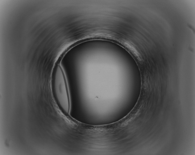 X0000093590888200710151015