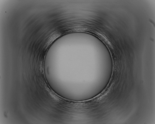 X0000093590889200710151015